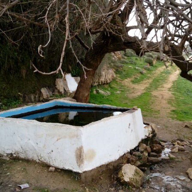 מעיין ושביל עם ישורון ברטוב