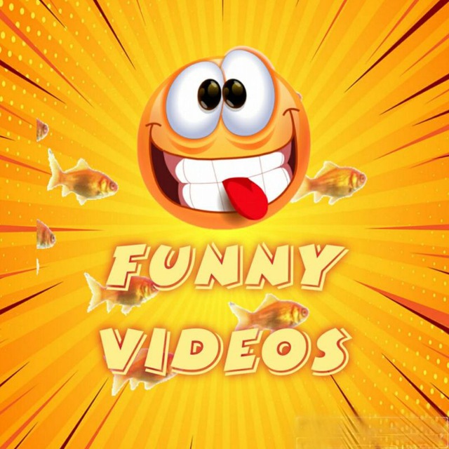 Funny Videos IL