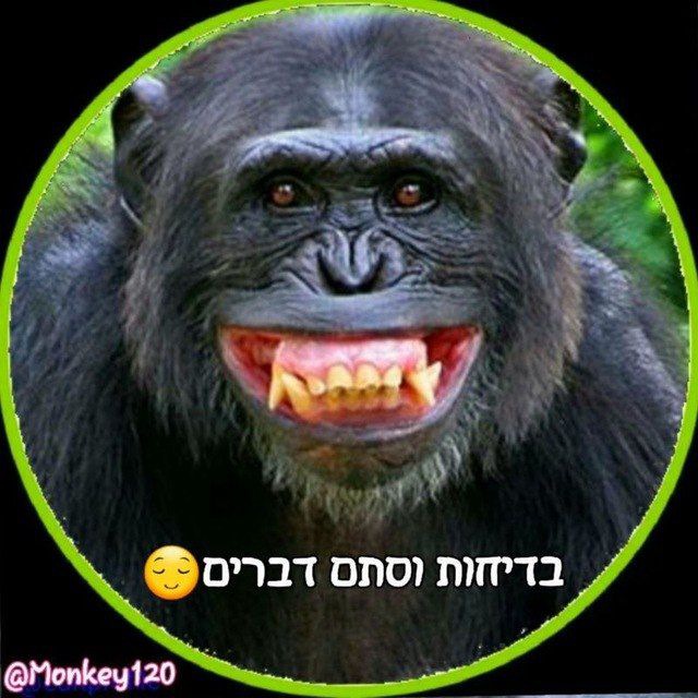 בדיחות וסתם דברים מגניבים😌