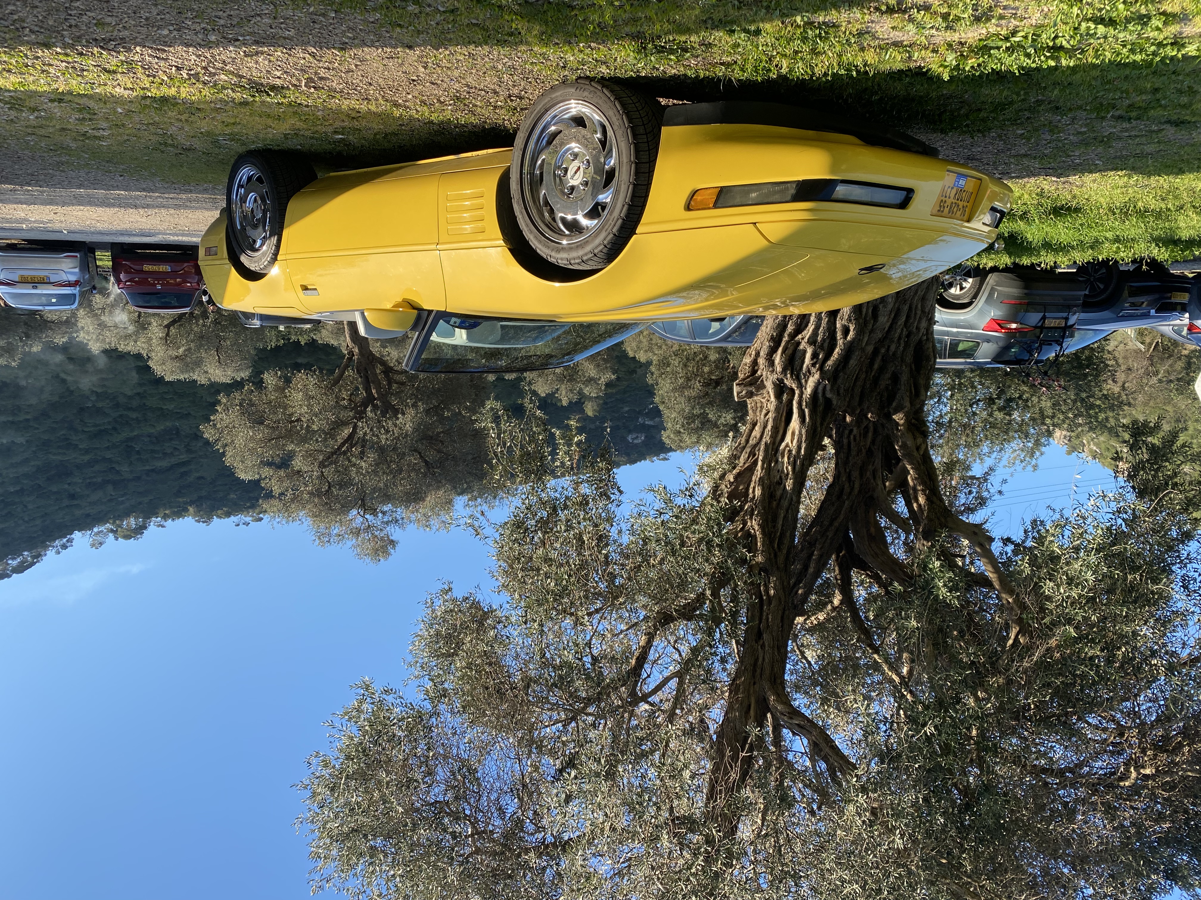 Photos