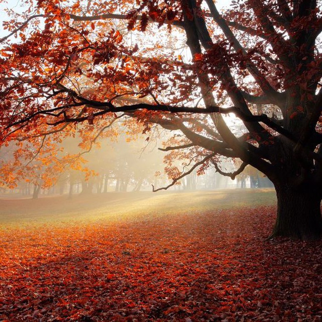 TRAVEL WONDERS